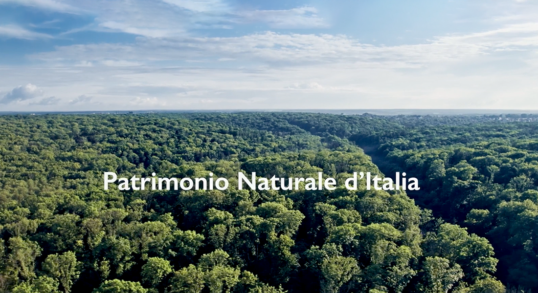 Tesori d'Oriente - Tesori per Natura: partecipa al concorso 